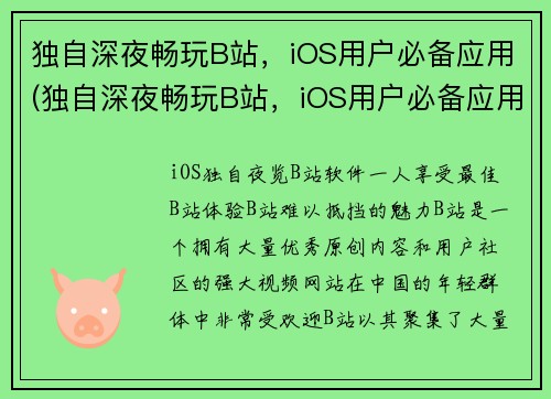 独自深夜畅玩B站，iOS用户必备应用(独自深夜畅玩B站，iOS用户必备应用：不容错过！)